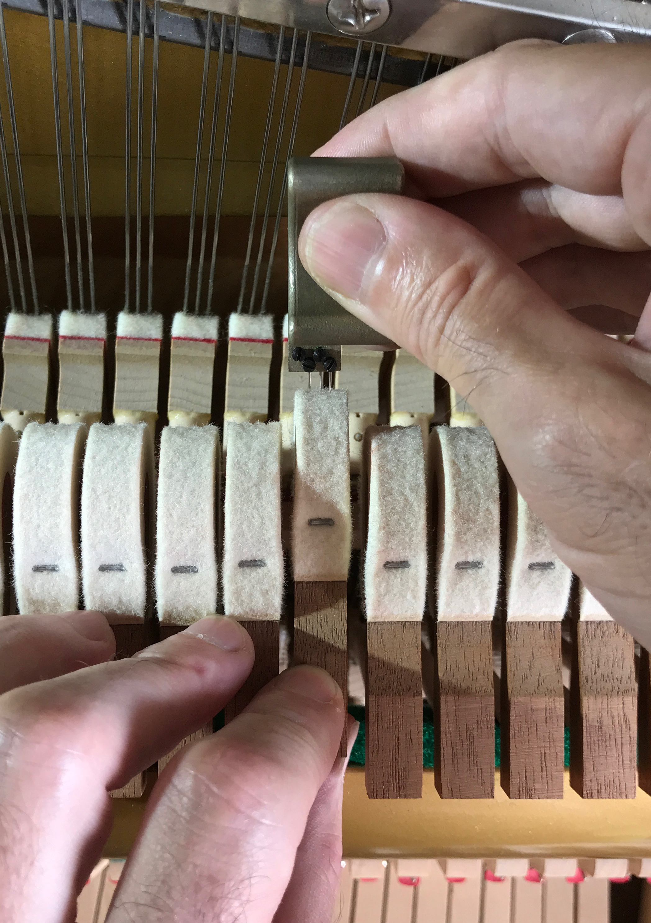 equalisation